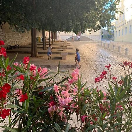 Feel The City Atmosphere Rovinj Buitenkant foto