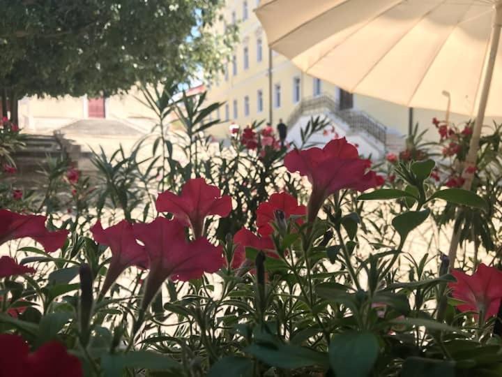 Feel The City Atmosphere Rovinj Buitenkant foto