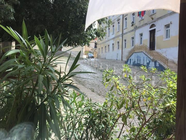 Feel The City Atmosphere Rovinj Buitenkant foto